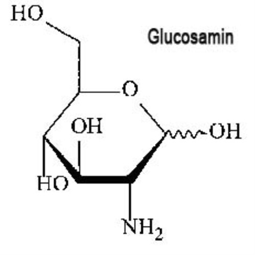 Glucosamine thoái hóa khớp
